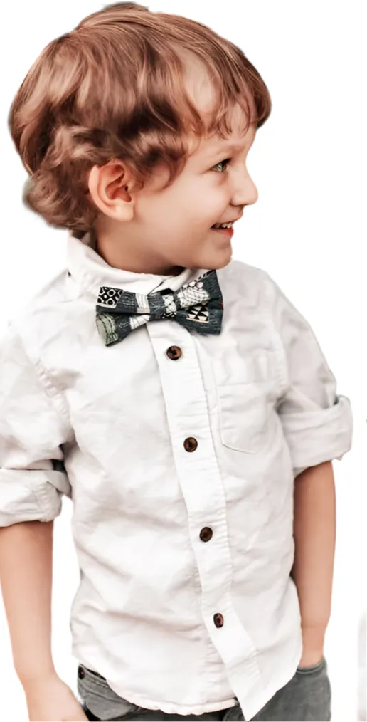 Cactus Southwest Bow Tie