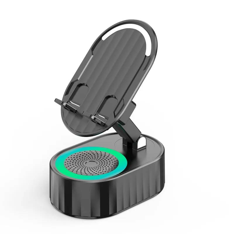 Hot Sale 49% OFFInduction Bracket Speaker