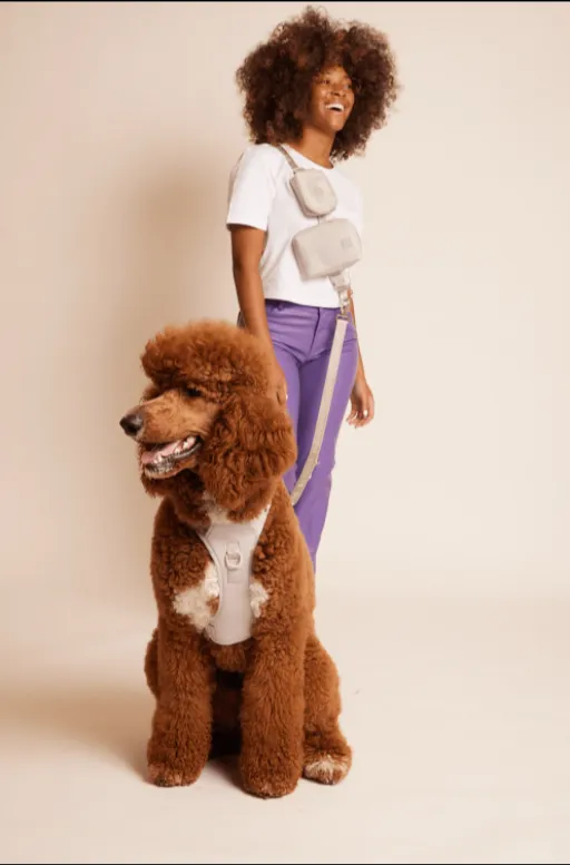 MAXBONE GO! With Ease Hands Free Dog Leash