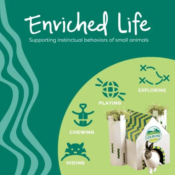 Oxbow Enriched Life - 2 in 1 Quiet Runner