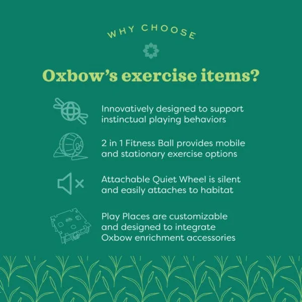 Oxbow Enriched Life - 2 in 1 Quiet Runner