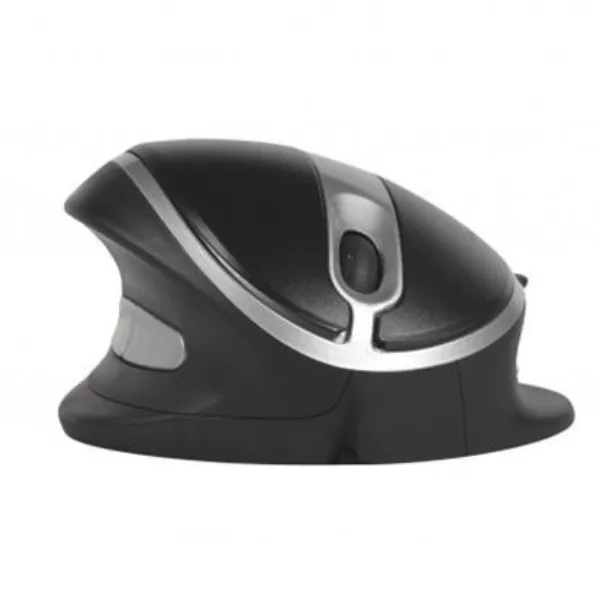 Oyster Mouse