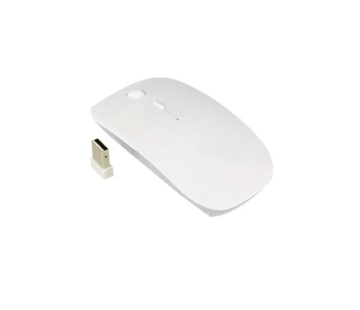 Wireless Optical Mouse With Anti-interference- R-601