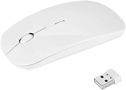 Wireless Optical Mouse With Anti-interference- R-601